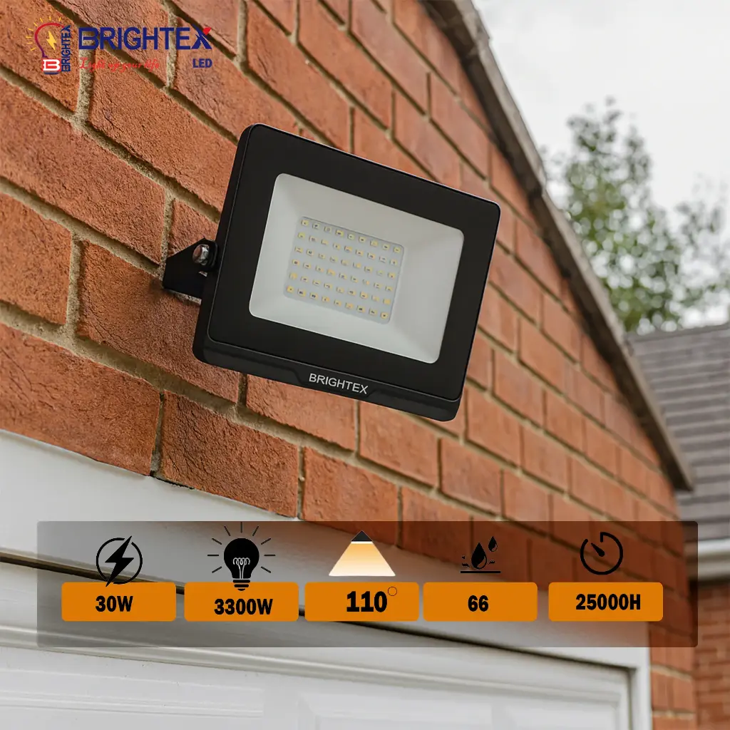 Brightex floodlight 30w without sensor 6500K