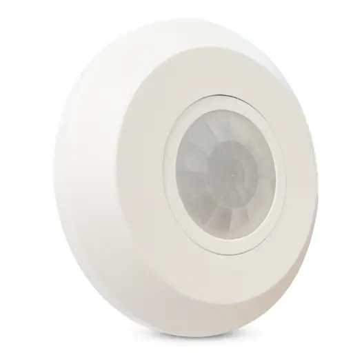 [MSS-1] Brightex Motion Sensor Surface  